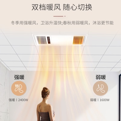 阳光（YANKON） 阳光照明浴霸风暖集成吊顶排气扇照明取暖一体卫生间浴室暖风机s527